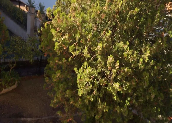 Amendola House Hotel Rome